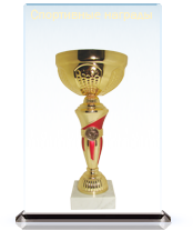 C��������� �������