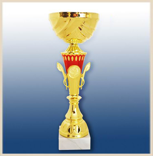 Кубок наградной