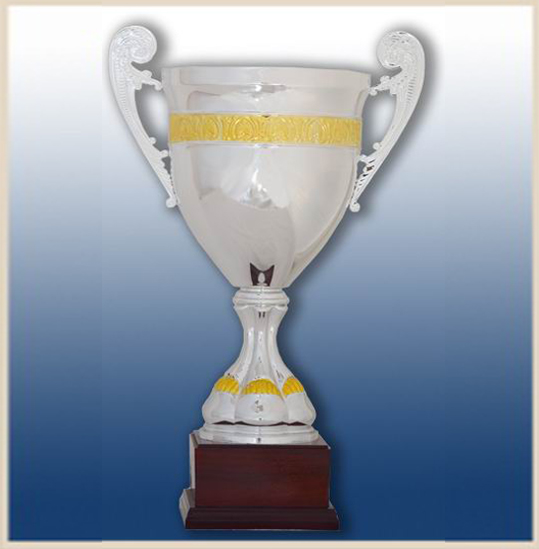 Кубок наградной