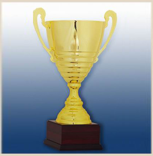 Кубок наградной