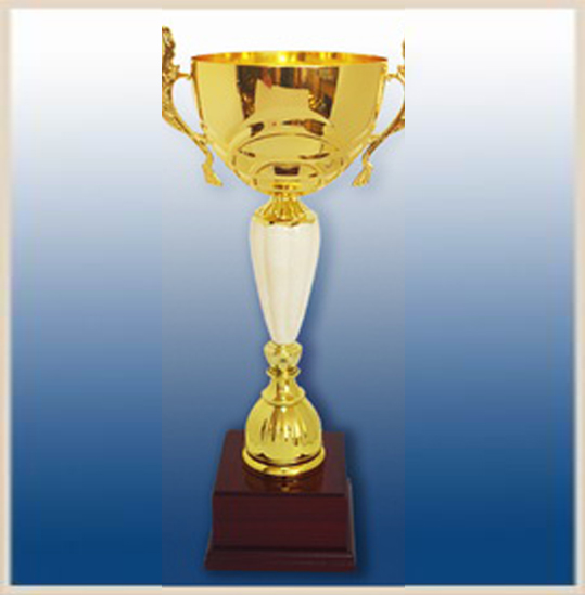 Кубок наградной