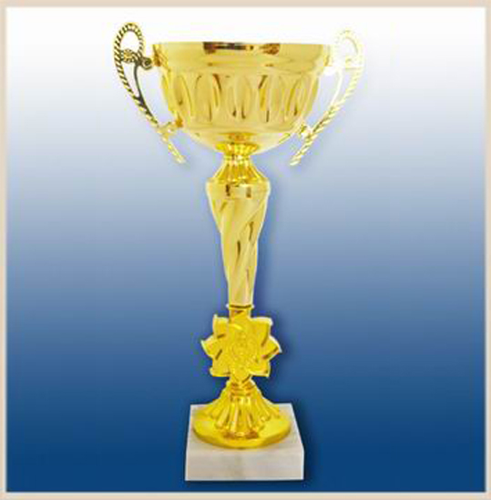Кубок наградной
