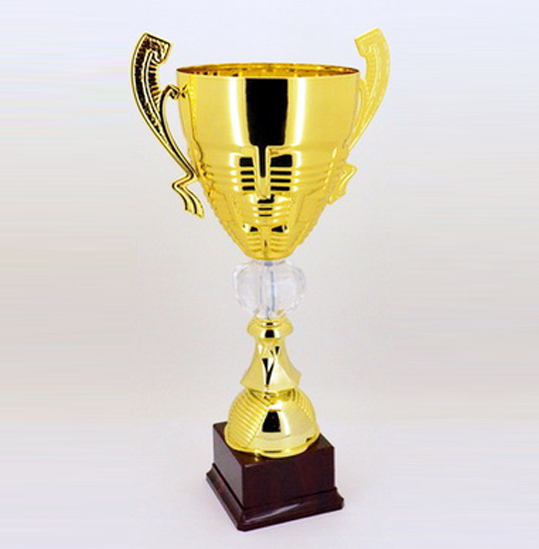 Кубок наградной