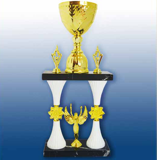 Кубок наградной