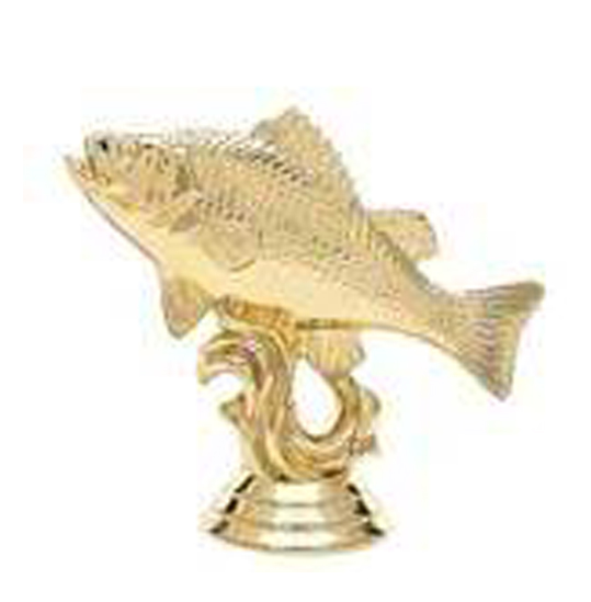 ��������� ���� ������