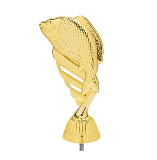 ��������� ���� ���������