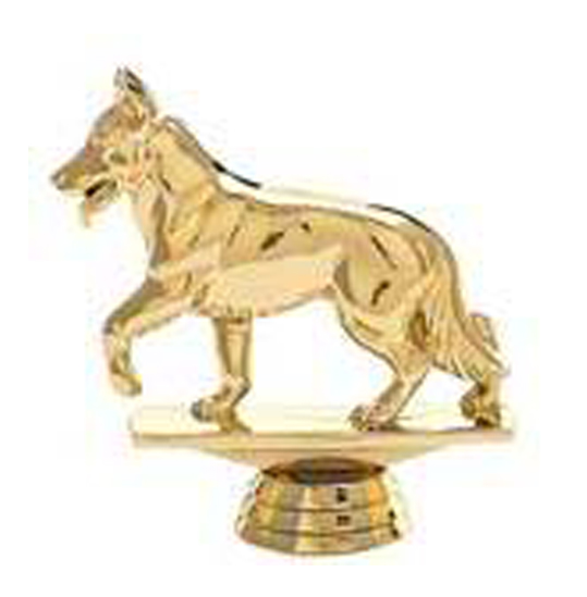 ��������� ������ �������