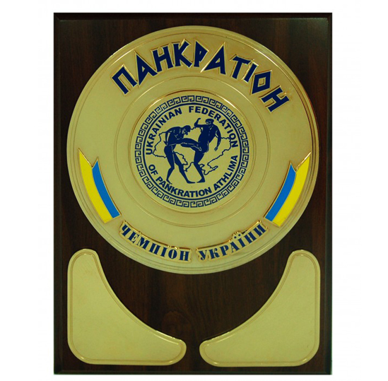 Диплом с накладками